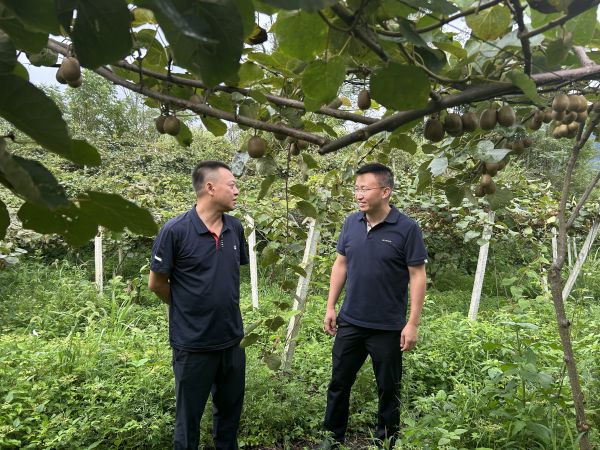 情系乡村暖人心 聚力振兴再出发 周川州赴道真仡佬族苗族自治县亲切慰问驻村干部